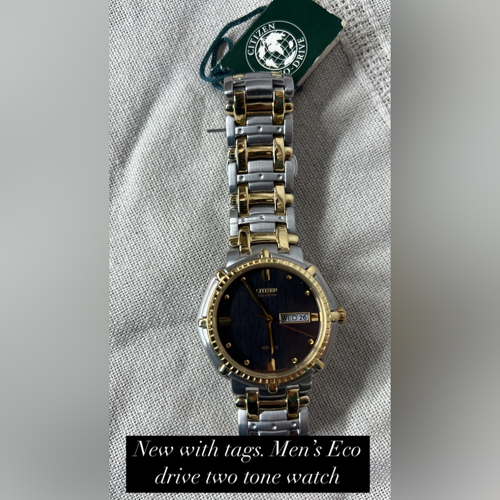 Citizen Eco-Drive Silver and Gold Watch